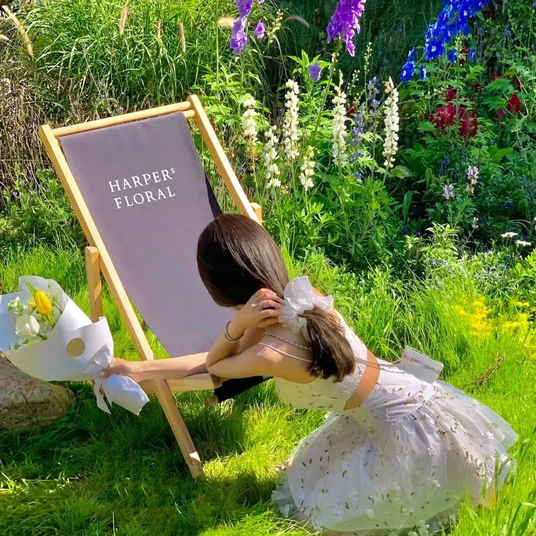 我在大理寺当宠物